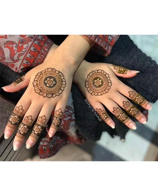 Traditional Layout Using Net Back Hand Mehndi Design